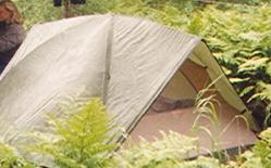 Summer Tent with Partial Fly